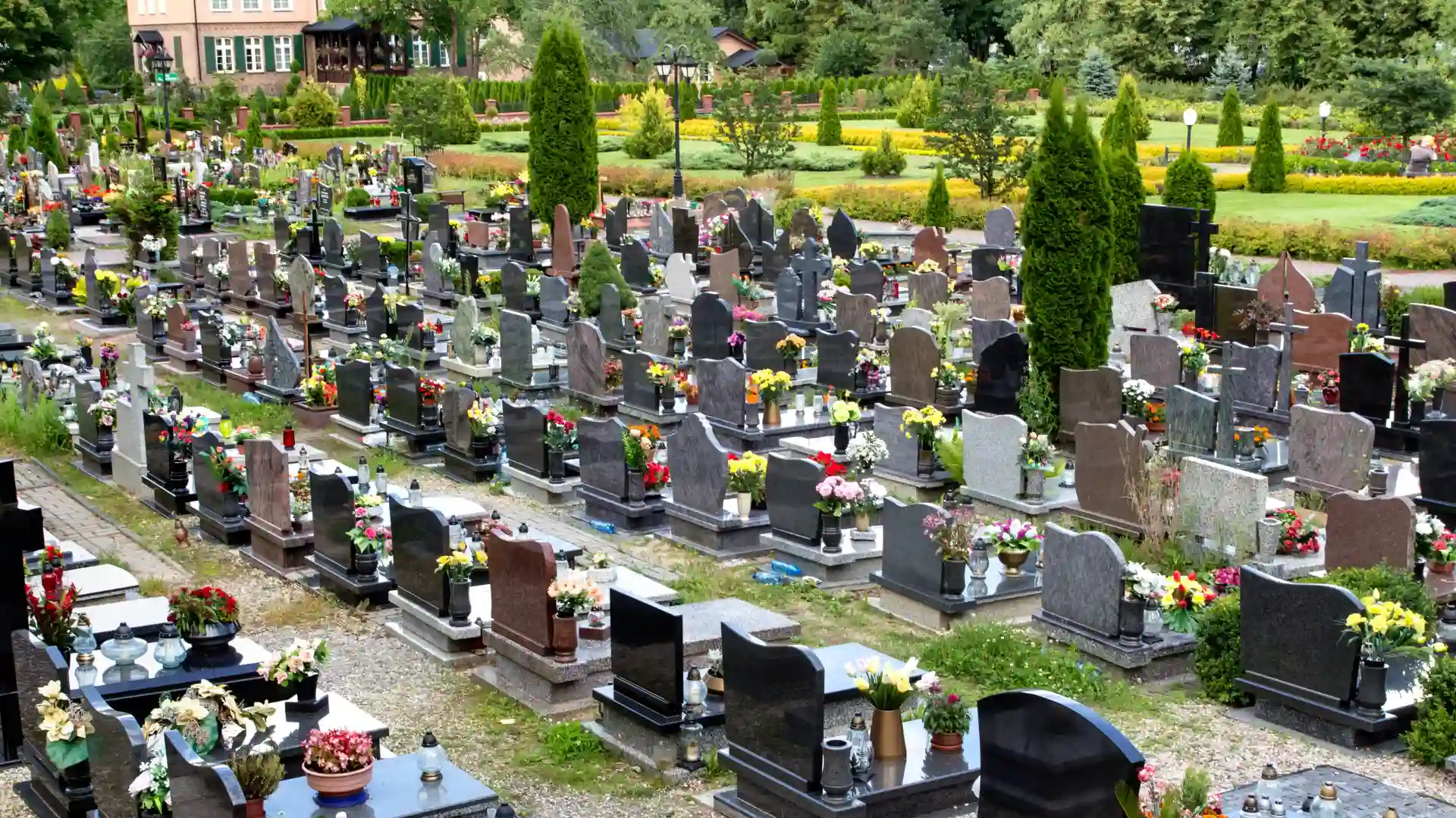 Groby na cmentarzu, znieważenie grobu, kradzież, adwokat Skoczylas, Wrocław